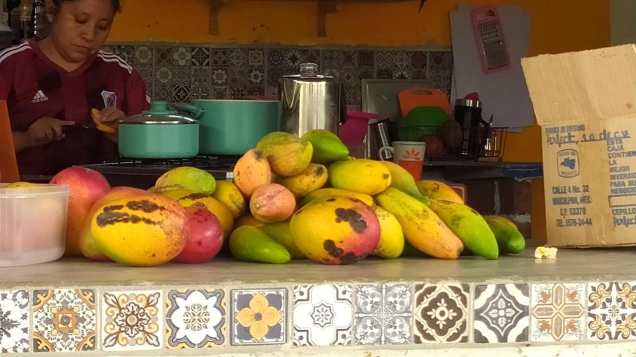 Casita Tonina Bed & Breakfast Ocosingo Bagian luar foto