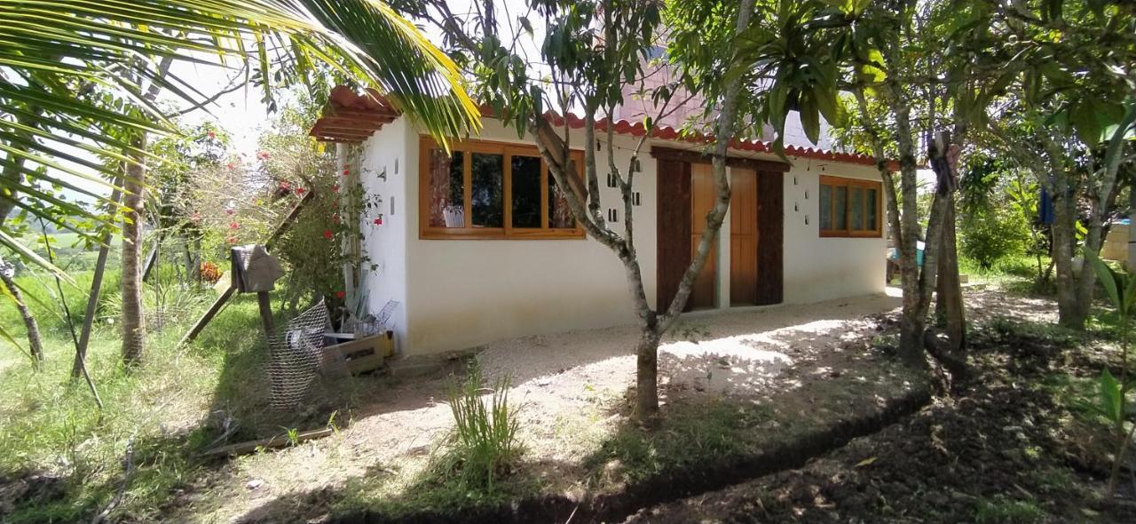 Casita Tonina Bed & Breakfast Ocosingo Bagian luar foto