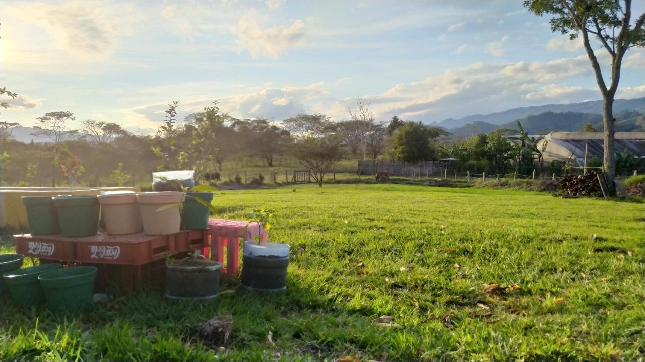 Casita Tonina Bed & Breakfast Ocosingo Ruang foto