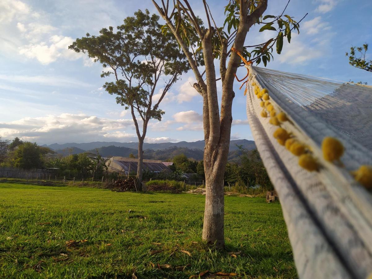 Casita Tonina Bed & Breakfast Ocosingo Bagian luar foto