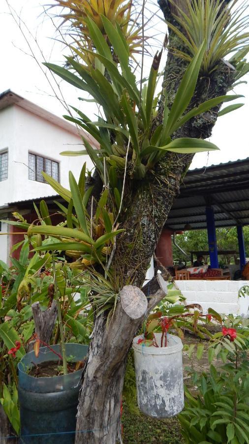 Casita Tonina Bed & Breakfast Ocosingo Bagian luar foto